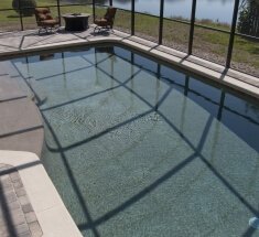 Custom Pool with Tanning Ledge and Screens